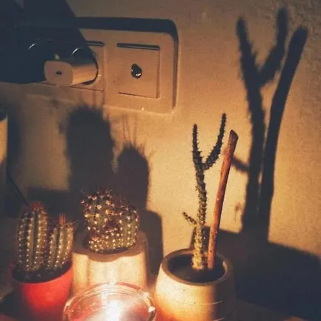 דירה Bohemian Rhapsody House