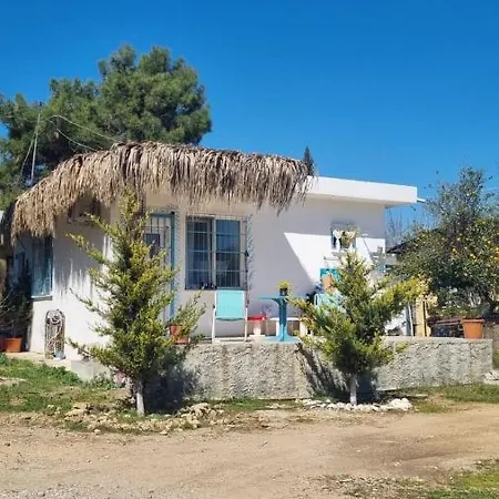 Bohemian Rhapsody House
