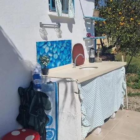 Lägenhet Bohemian Rhapsody House Antalya