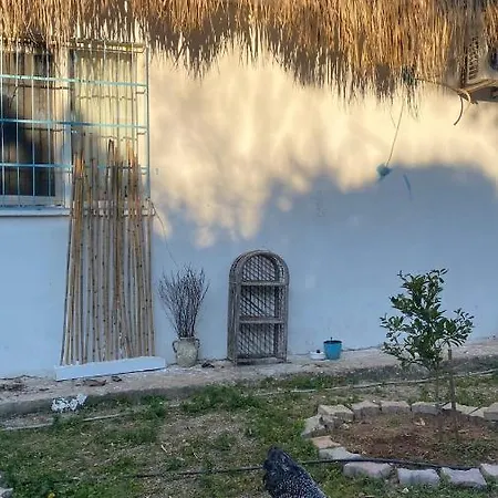 Lägenhet Bohemian Rhapsody House Antalya